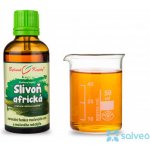 Bylinné kapky Slivoň africká tinktura 50 ml – Hledejceny.cz