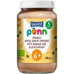 SALVEST Põnn BIO Celozrnná kaše s banánem a černým rybízem 200 g – Zboží Dáma