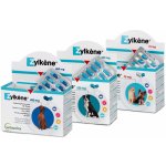 Vetoquinol Zylkene 75 mg pro kočky a malé psy do 10 kg 10 kapslí – Zboží Mobilmania