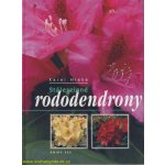 Stálezelené rododendrony – Hledejceny.cz
