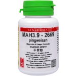 Sinecura MAH3.9 pingweisan 60 tablet – Hledejceny.cz