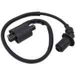 BRONCO indukční cívka kompletní s fajfkou CF MOTO CFORCE 500 07-16, CF 500 SSV/UTV 11-15, UFORCE 500 09-10 (0180-152000) – Hledejceny.cz