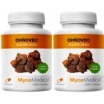 MycoMedica Ohňovec 2 x 120 kapslí – Hledejceny.cz