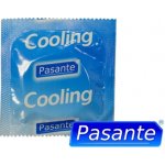 Pasante cooling 1 ks – Zbozi.Blesk.cz