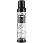 Black Blanc Volume Up Root Spray 300 ml – Hledejceny.cz