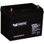 fgForte 12V 75Ah 6FG75 – Sleviste.cz