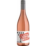 Winzerhof Stahl Rosé NACHSCHLAG drinkpink 2021 11,5% 0,75 l (holá láhev) – Hledejceny.cz