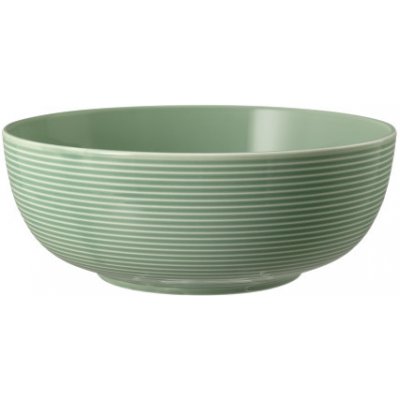Seltmann Weiden Beat Sage Zelená Foodbowl mísa porcelán zelená 20 cm – Zboží Mobilmania