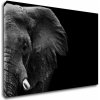 Obraz Impresi Obraz Slon na černém pozadí - 90 x 60 cm
