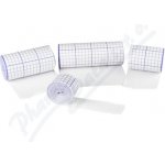 Elastpore náplast fixační 10 cm x 10 m 1 ks – Zboží Dáma