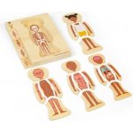 Bigjigs Toys puzzle Anatomie dívka – Zboží Mobilmania