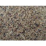 HobbyFirst King Kanarie Basis 1 Kg – Zboží Dáma