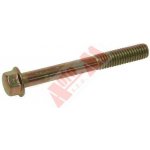 šroub M6x1 x 60 mm s límcem žlutý – Hledejceny.cz