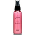 A'pieu Raspberry Vinegar Hair Mist olejový sprej na vlasy s kyselým pH 105 ml – Hledejceny.cz