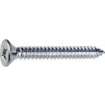 Šroub do plechu 2,9x13 PH, zapuštěná hlava, zinek bílý, 50ks – Zboží Mobilmania