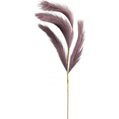 GASPER Pampová tráva 80 cm fialová – Hledejceny.cz