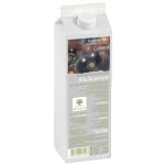 RAVIFRUIT PYRÉ ČERNÝ RYBÍZ pasterizované 1 kg – Zboží Dáma