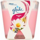 Glade by Brise Relaxing Zen 70 g