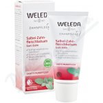 Weleda šalvějový balzám na dásně 30 ml – Hledejceny.cz