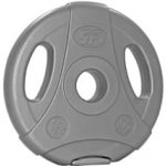 PLATINUM FITNESS Cementový kotouč s úchyty 1,25 kg 30mm – Hledejceny.cz
