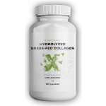 BrainMax Hydrolyzovaný GrassFed Collagen 200 g – Hledejceny.cz