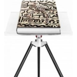 Annie Leibovitz Keith Haring Edition