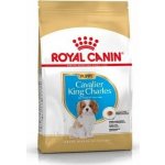 Royal Canin Cavalir King Charles Junior , 1,5 kg – Zboží Mobilmania