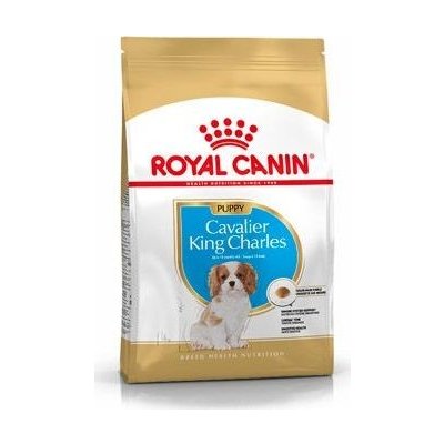 Royal Canin Cavalir King Charles Junior , 1,5 kg – Zboží Mobilmania