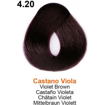 Trend Toujours barva na vlasy 4.20 100 ml