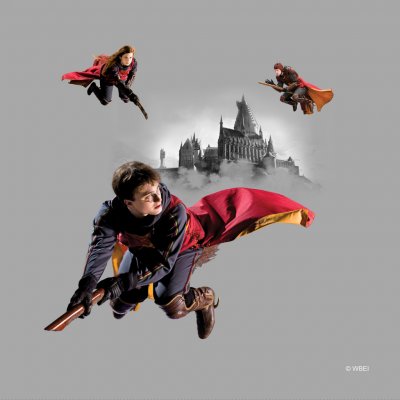 Dekorační polštář Harry Potter CND3157 | 40 x 40 cm – Hledejceny.cz