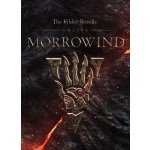 The Elder Scrolls Online: Morrowind – Sleviste.cz