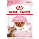 Royal Canin Sterilized Kitten v omáčce 24 x 85 g – Zboží Mobilmania