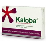 KALOBA 20 MG POTAHOVANÉ TABLETY POR TBL FLM 21 – Zbozi.Blesk.cz