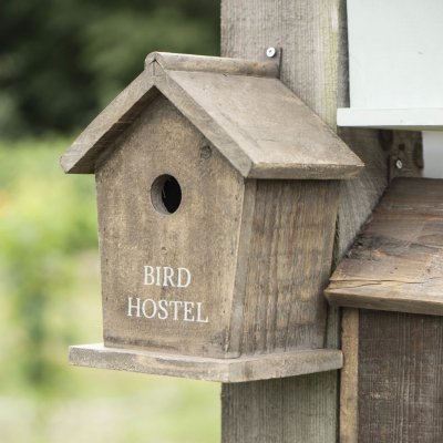 IB Laursen Ptačí budka Bird Hostel Classic přírodní barva dřevo v 26,5 cm rozměr 20 x 15 cm – Zboží Mobilmania