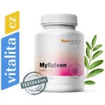 MycoMedica MySpleen 2 x 90 kapslí – Hledejceny.cz