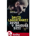 Dívka v pavoučí síti - David Lagercrantz – Hledejceny.cz