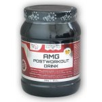 Nutristar AMG Postworkout 750 g – Zbozi.Blesk.cz