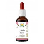 Salvia Paradise Štětka lesní AF tinktura 50 ml – Hledejceny.cz