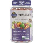 Garden of Life Mykind Organics Multi Gummies Prentální 120 kapslí – Hledejceny.cz
