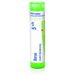 BORAX POR 5CH GRA 1X4G – Zboží Dáma