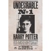 Plakát ABYstyle Plakát Harry Potter - Undesirable n°1