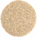 Nutsman Quinoa bílá 0,5 kg – Zboží Mobilmania