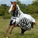Bucas BuzzOff Zebra Rain Neck síťová deka i do deště – Zboží Dáma