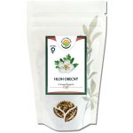 Salvia Paradise Hloh obecný květ 30 g – Zboží Dáma