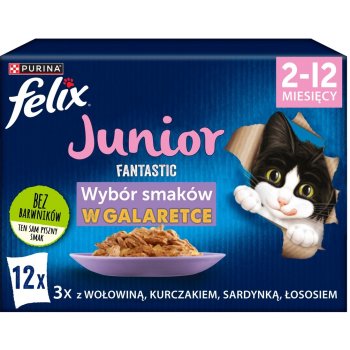 Felix Fantastic Junior kuřecí hovězí losos sardinky 12 x 85 g