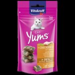 Vitakraft Cat Yums Kuře & kočičí tráva 40 g – Sleviste.cz