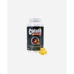 Colafit SPORT 90 kostiček – Hledejceny.cz