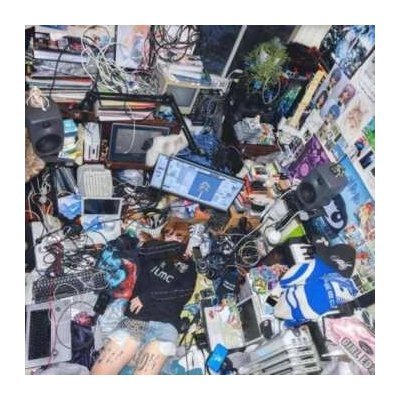 Ninajirachi - I Love My Computer LP – Hledejceny.cz