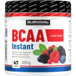 Survival BCAA Instant 300 g – Zboží Dáma