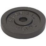 Arsenal litina 2,5kg - 25mm – Hledejceny.cz